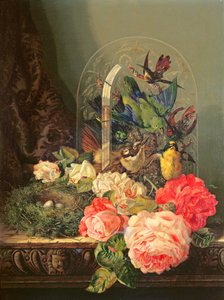 Stilleben av fåglar, blommor och ett fågelbo på ett bord